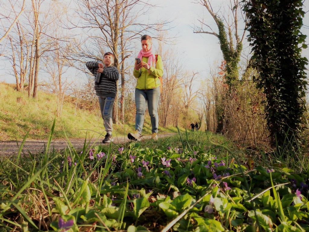 GIRO ALL’ISOLA DELLA&nbsp;CONA