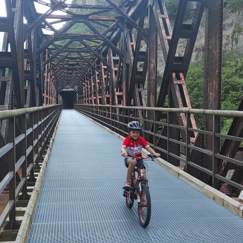 uno dei ponti nel tratto Tarvisio-Chiusaforte